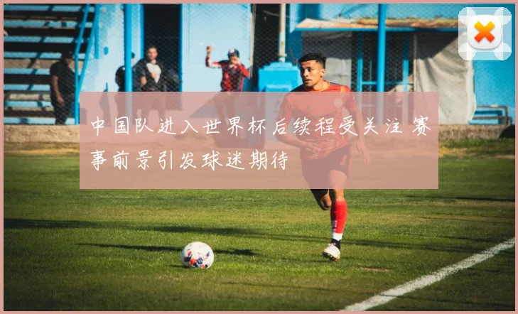 中国队进入世界杯后续程受关注 赛事前景引发球迷期待