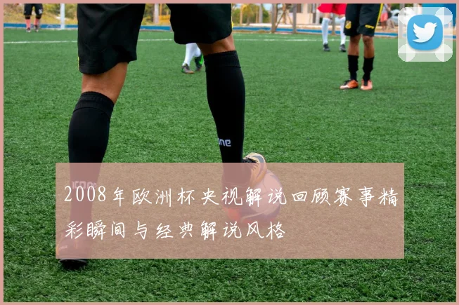 2008年欧洲杯央视解说回顾赛事精彩瞬间与经典解说风格