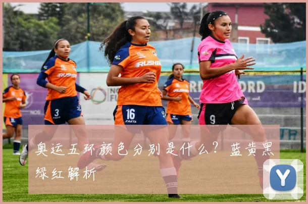 奥运五环颜色分别是什么?蓝黄黑绿红解析