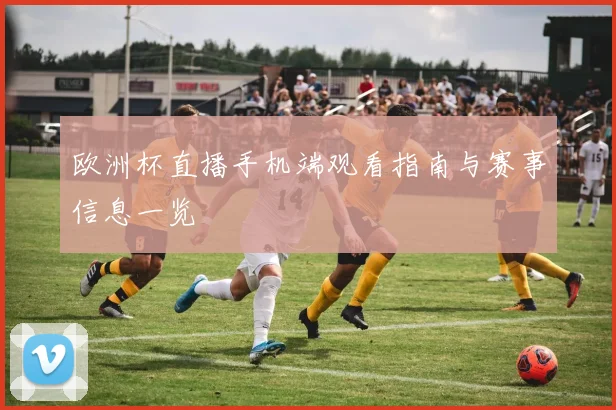 欧洲杯直播手机端观看指南与赛事信息一览