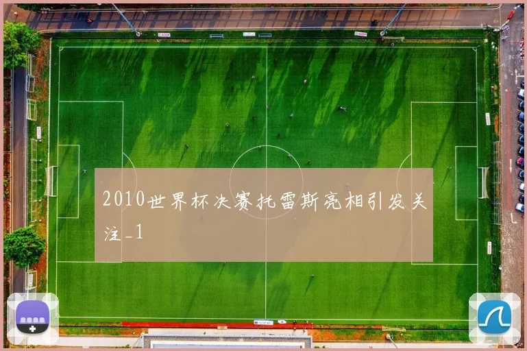 2010世界杯决赛托雷斯亮相引发关注_1